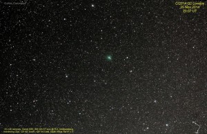 lovejoy lables 25 nov 14