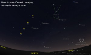 Auke Loveloy chart