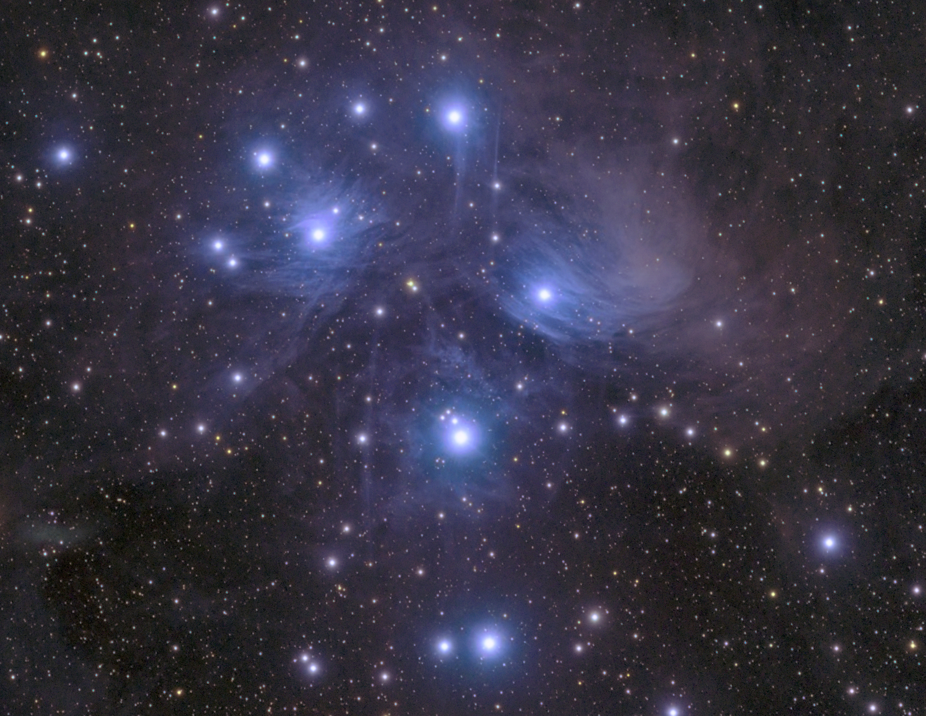 Image of the Month: The Pleiades