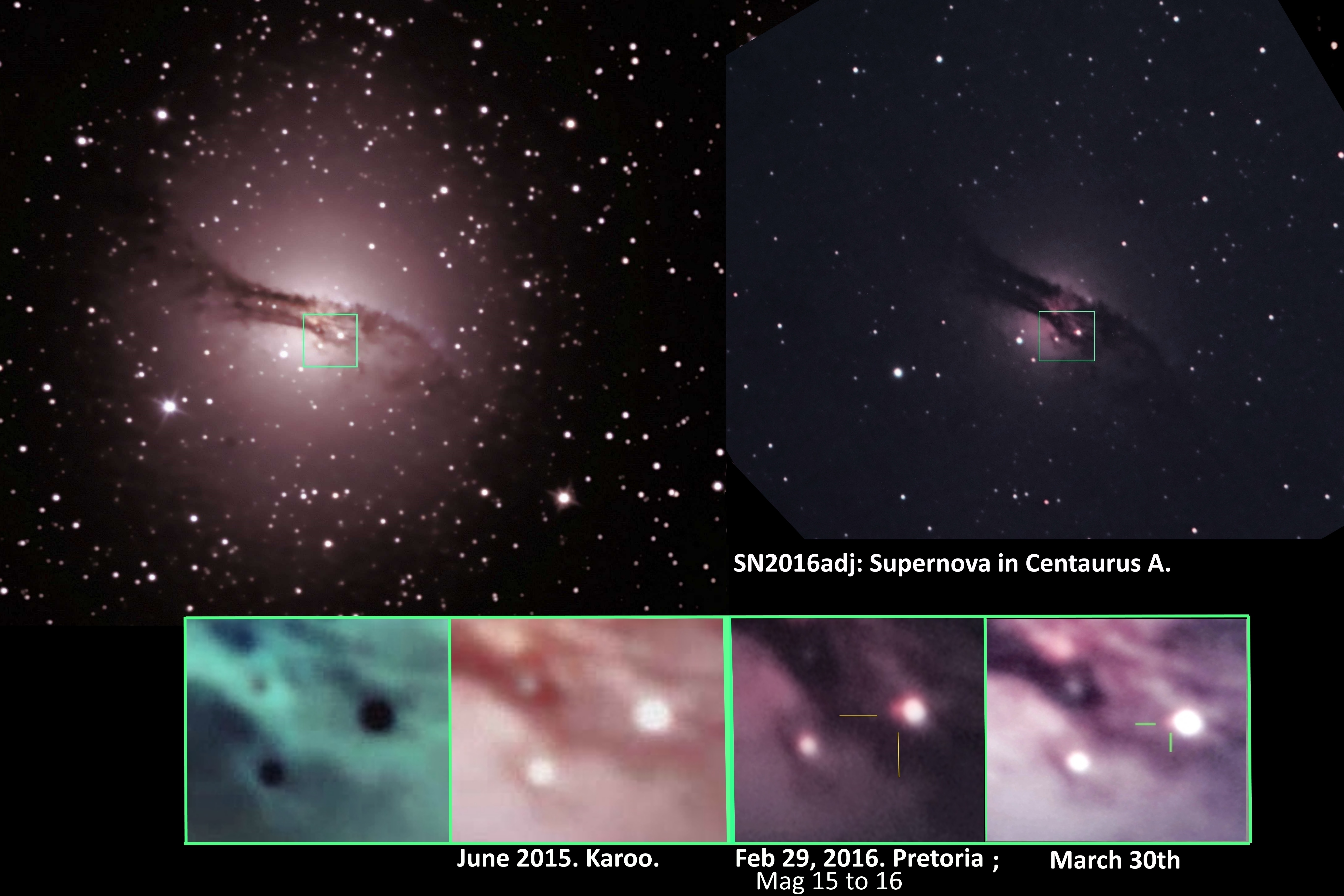 Image of the Month: Supernova SN 2016adj in Centaurus A